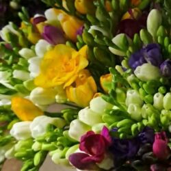 куплю дом кашка баш: 1 комната, 70 м² at lalafo.kg куплю дом кашка баш: 1 комната, 70 м²