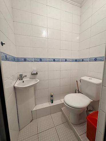 Долгосрочная аренда домов: 250 м², 6 комнат — 11