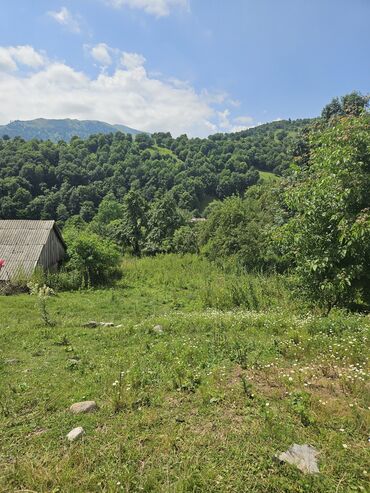 Torpaq sahələrinin satışı: Satış: Dağ mənzərəli torpaq sahəsi - Yaşıllıqla əhatəli, sakit təbiət — 5
