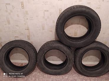 5000: Шины 195 / 65 / R 15, Зима, Б/у, Комплект, Легковые, Dunlop — 1