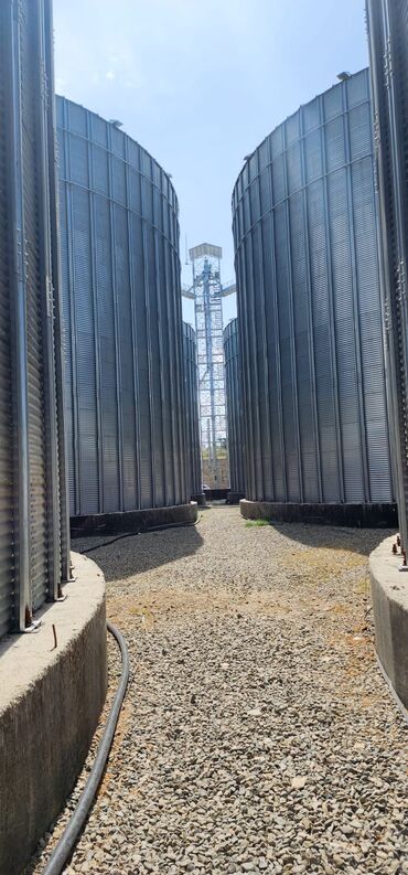 Бочки и ёмкости: Силос Сило Силас Зернохранилище Элеватор Элеваторы Элеватар Элеватары — 27