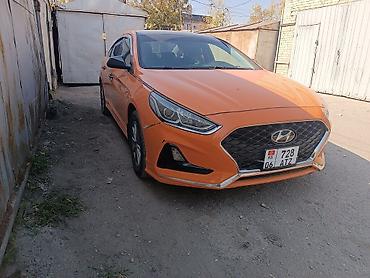 соната оранжевый: Hyundai Sonata: 2019 г., 2 л, Автомат, Газ, Седан — 2