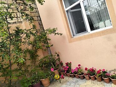 herracda olan evler: 5 otaqlı, 165 kv. m, Kredit yoxdur, Yeni təmirli — 10