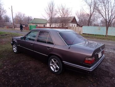 Mercedes-Benz: Mercedes-Benz W124: 1993 г., 2.2 л, Механика, Бензин, Седан