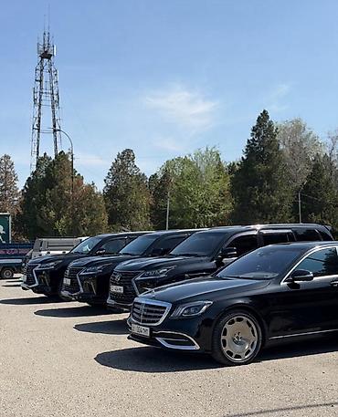 sprinter 2 2: Сдаю Mercedes-Benz S-Class для кортежа, С водителем, Седан — 3
