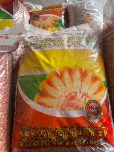 продажа кукурузу: Продаю семена кукурузы Китайский Пионер 335