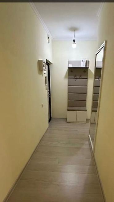 толстого: 1 комната, 44 м², ул. Лев Толстой 5 этаж — 10