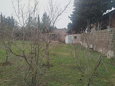 Torpaq: 30 sot, Tikinti, Makler, Kupça (Çıxarış) — 4