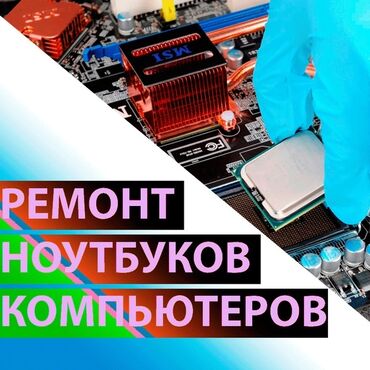 фиалка гулу жонундо маалымат in Кыргызстан | БАШКА БӨЛМӨ ӨСҮМДҮКТӨРҮ: Оңдоо | Ноутбуктар, компьютерлер | Кепилдиги менен, Үйгө чыгуу менен