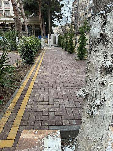 Beton plitələr: Rəngli səki daşları – zavod istehsalı - İkiqat qatlı vibropress — 50