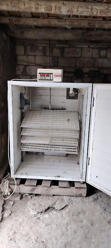 İnkubatorlar: 600 yumurta, Bütün növ quşlar üçün — 4