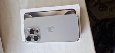 Apple iPhone: IPhone 15 Pro, 256 GB, Natural Titanium, Face ID