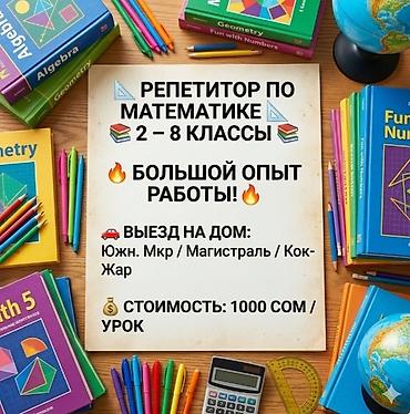 Репетиторы школьной программы: Репетитор по математике — 1