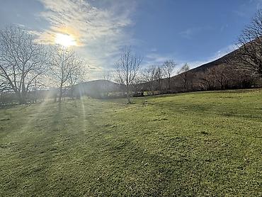 Torpaq sahələrinin satışı: 35 sot, Mülkiyyətçi — 14