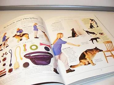 lokatori za pse: Kompletan priručnik za obuku pasa od Brucea Foglea, RSPCARSPCA — 4