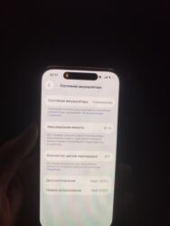 ноутбуки сколько стоит: IPhone 15 Pro, Б/у, 256 ГБ, Серебристый, 92 %