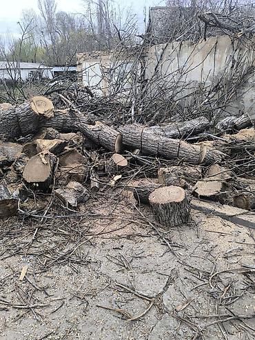 Дрова: Дрова Орех, Самовывоз — 3