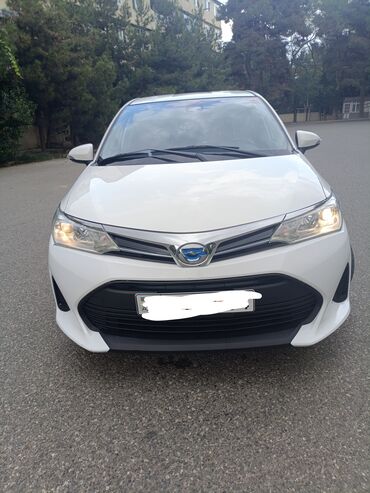 Информатика: Toyota Corolla: 1.5 л | 2019 г. Универсал