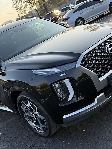 камера лампа: Hyundai Palisade: 2022 г., 2.2 л, Автомат, Дизель, Кроссовер — 3