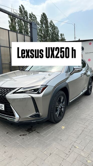купить бу электромобиль из китая: Lexus NX: 2019 г., 2.5 л, Автоматтык, Гибрид, Кроссовер