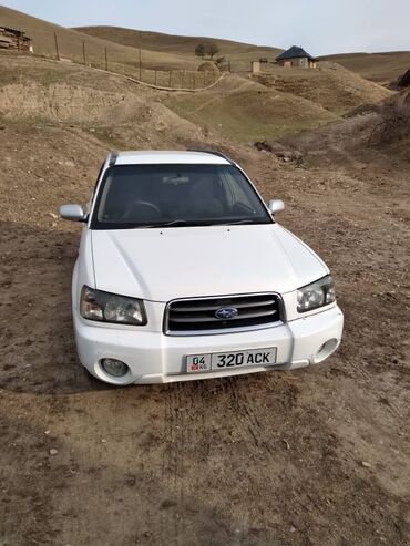 машина лексуз: Subaru Forester: 2002 г., 2 л, Автомат, Бензин, Хэтчбэк