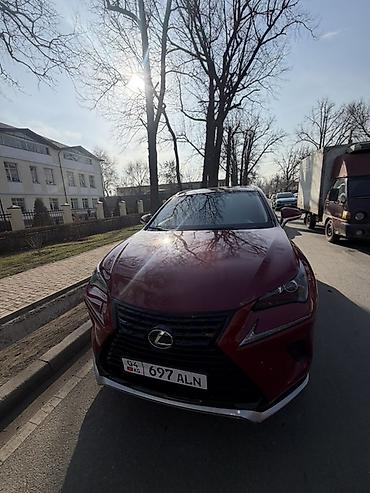 лексус нх: Lexus NX: 2017 г., 2 л, Автомат, Бензин, Кроссовер — 3