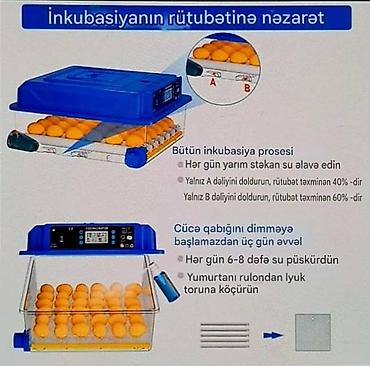 Зоотовары: Tam avtomatik inkubator / su və yem qabı daxil./Göy-1əd.yaşıl 1əd — 6