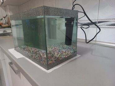 Akvariumi: AKVARIJUM za ribice dimenzija: D-40cm Š-21cm V-24,5cm sa dvodelnim — 11