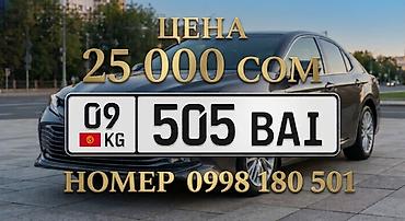 насос гидронасос: Госномерной знак «09 KG 505 BAI» (Кыргызстан). - Формат — 1