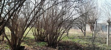 Həyət evləri və villaların satışı: 3 otaqlı, 126 kv. m, Orta təmir — 21