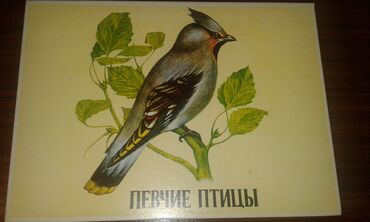 Digər kolleksiyalar: К вниманию коллекционеров советских товаров. Продам коллекцию спичек — 2