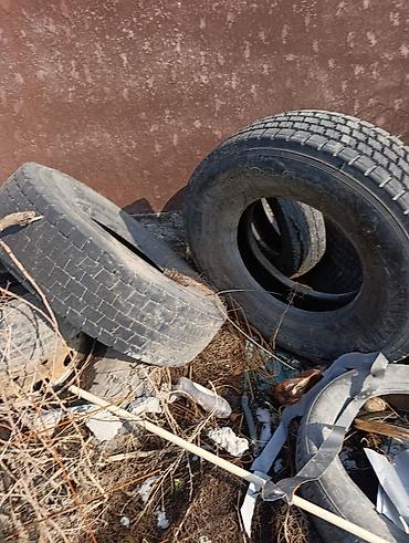 Шины: Бесплатно на септик 12 штук Грузовые шины 315/80 R22.5 - Тип — 3