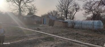 Продажа домов: Дача, 140 м², 4 комнаты, Собственник, Косметический ремонт at lalafo.kg — 26 Продажа домов: Дача, 140 м², 4 комнаты, Собственник, Косметический ремонт — 26