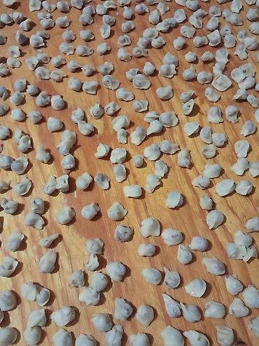 yer desen: Ev üsulu kiçik ölçülü düşbərə/baki duwberesi kilosu. 15 azn. dana — 1