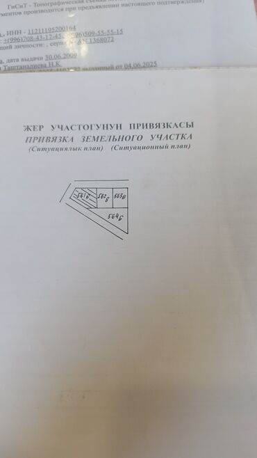 домашняя горка: Представлен ситуационный план земельного участка, включающий