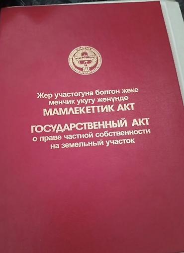 алтын казык ж м: 26 соток, Красная книга — 1