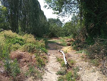 Продажа участков: 23 соток, Для строительства, Красная книга — 6