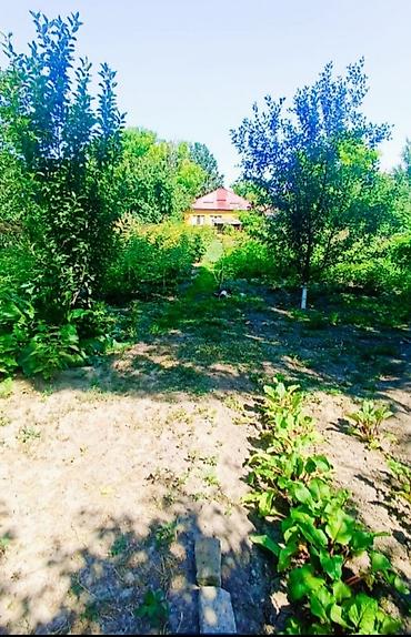 Продажа коттеджей и домов: Риэлторов прошу не беспокоить! 5 комнат, недавно провели газ. дом с — 13