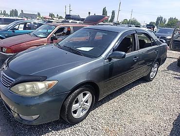 corolla 2016: Toyota Camry: 2004 г., 2.4 л, Автомат, Бензин, Седан — 1