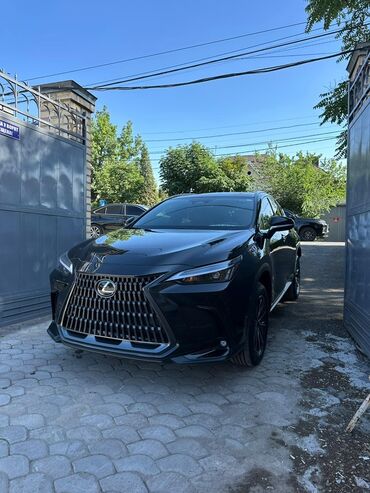 лексус rx 330 новый цена: Lexus NX: 2023 г., 2.4 л, Автомат, Бензин, Кроссовер