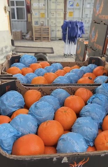 оптом груша: Экзотические фрукты — оптом и в коробках Ассортимент по списку на — 5