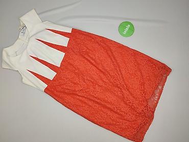 calvin klein: Sukienka damska, rozmiar 3XL — 2