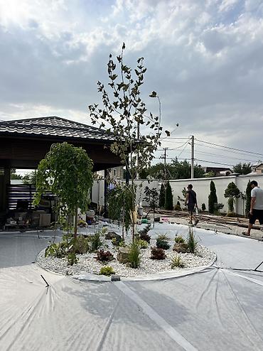 Дизайн, проектирование: Ландшафтный дизайн авто полив водопады пруды водоемы ручьи посев — 27