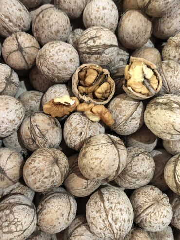 Сухофрукты, орехи, снеки: Продаю домашние грецкие орехи за килограмм. 4 мешка