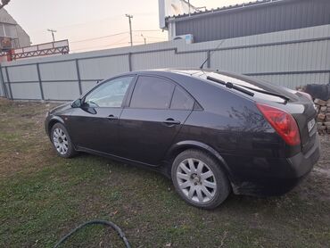 Nissan: Nissan Primera: 2003 г., 1.9 л, Механика, Дизель, Хэтчбэк — 5
