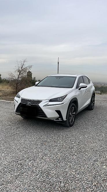 lexus nx300: Lexus NX: 2019 г., 2 л, Автомат, Бензин, Кроссовер — 1