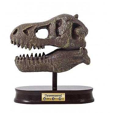 papuce stradivarius: Dino skelet 104872 Buki – kreativni set za male paleontologe Opis: - — 5