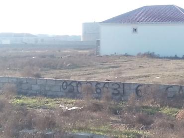 ramanıda: 10 sot, Kənd təsərrüfatı, Mülkiyyətçi, Kupça (Çıxarış) — 5