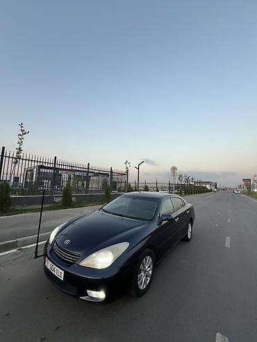 кузов зил: Lexus ES: 2003 г., 3 л, Автомат, Газ, Седан — 6