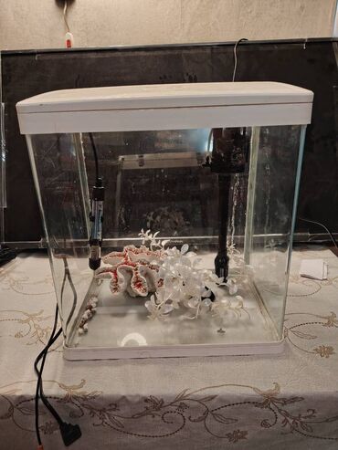 akvarium 90x40x50: Dördbucaq akvarium, Boş, 50 l, Ödənişli çatdırılma